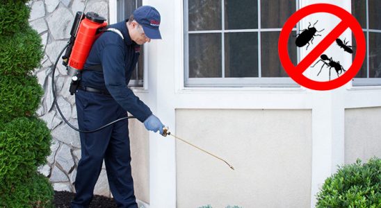 Boğazkale Tahtakurusu İlaçlama böcek ilaçlama ve haşere kontrolü — ilaclama-tr.com